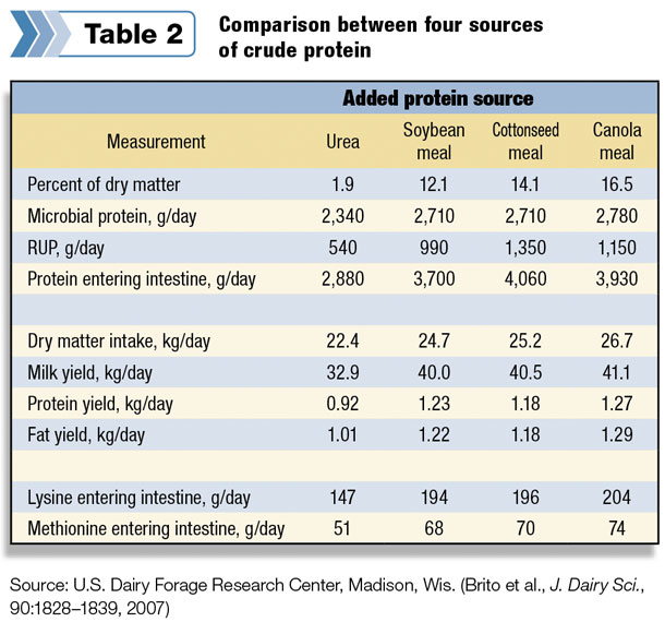 comparison between four sources of crude protein