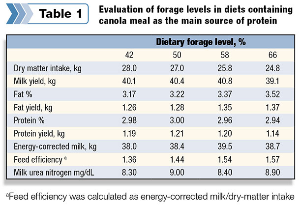 forage levels in diets