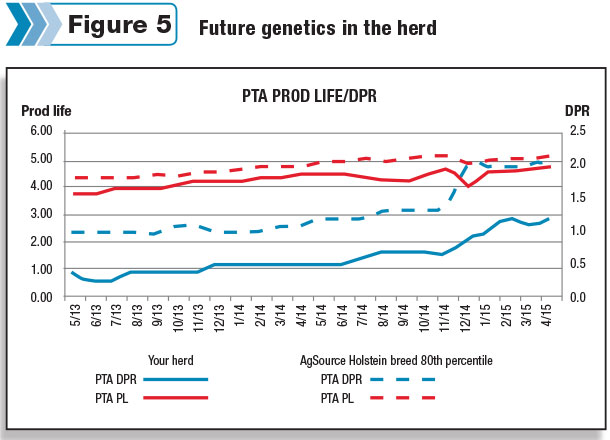 future herd genetics