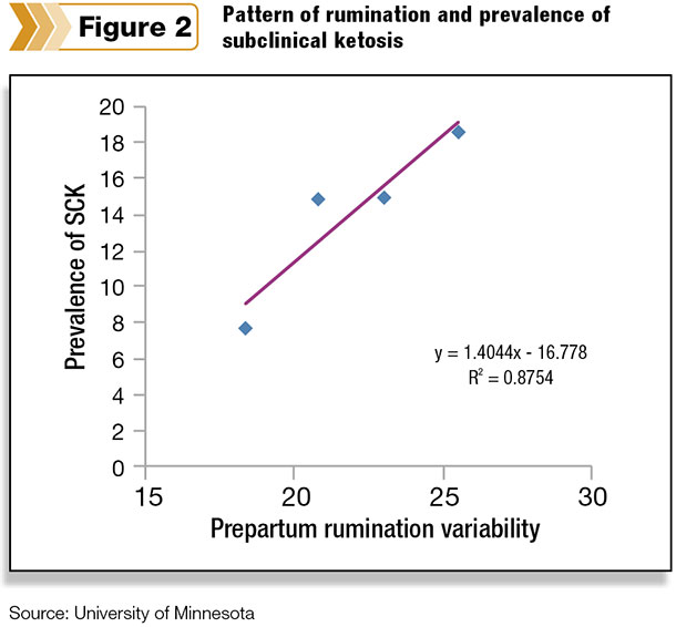 Pattern of rumination and prevalence of subclinical ketosis