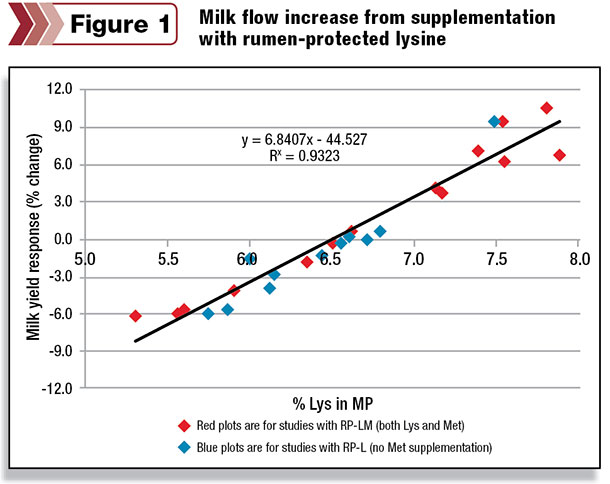 Milk flow increase from supplementation with rumon-protected lysine
