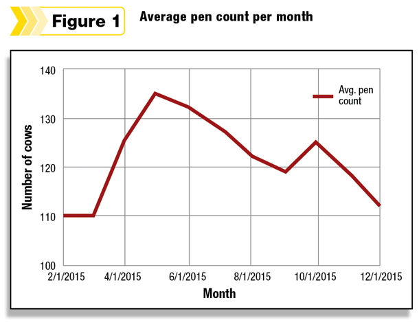 Average pen count per month