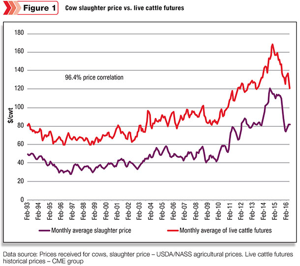 Cow slaughter price vs. live cattle futures