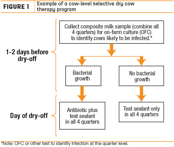 Example of a cow-level selective dry cow therapy program