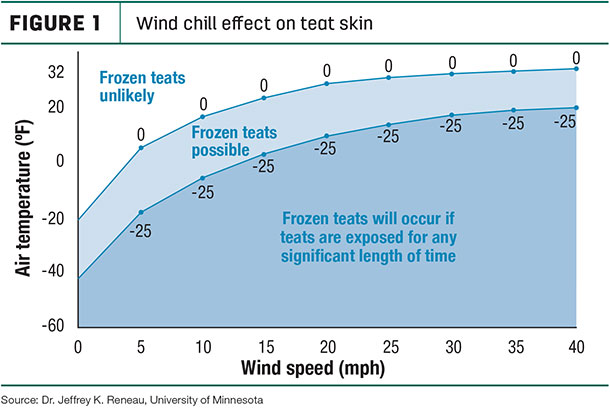 wind chill effect on teat skin
