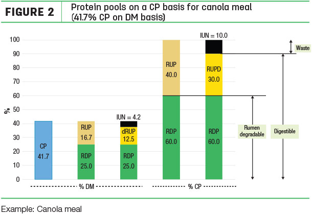 Protein pools on a CP basis for canola meal