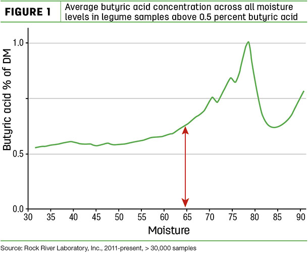 Average vutyric acid concentration across all moisture levels in legume samples avobe 0.5 