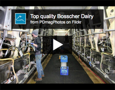 bosscher dairy