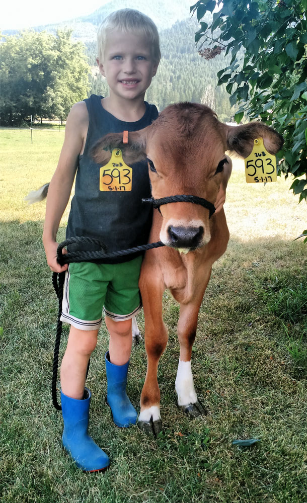 boy with calf