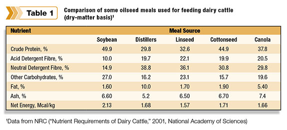 Comparison of oilseed meals for dairy