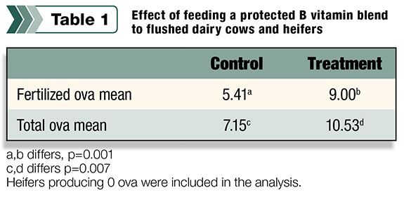 Effect of feeding a protected B vitamin blend to flushed dairy cows and heifers