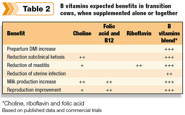 B vitamin expected benefits