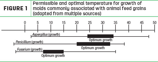 Permissible and optimal temperature for growth of molds commonly associated with animal feed grains