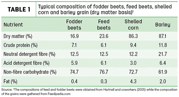 Typical composition of fodder beets, feed beets, shelled corn and barley grain (dry matter basis)