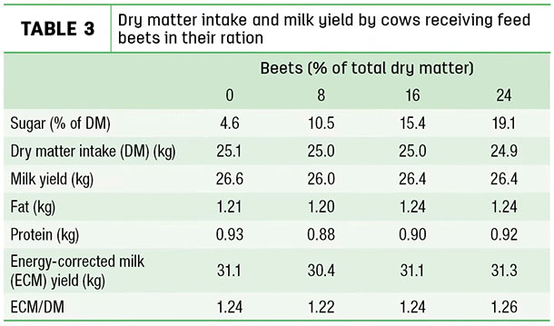 Dry matter intake and milk yield by cows receiving feed beets in their ration