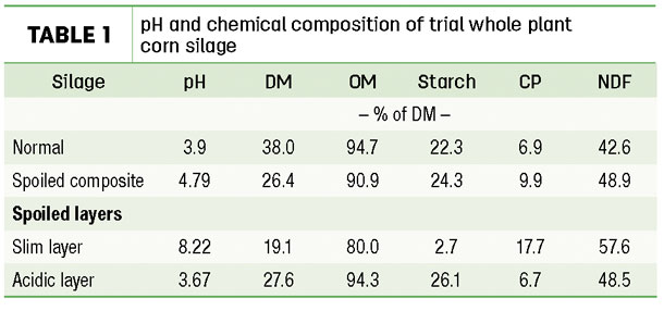 pH and chemical composition of trial whole-plant corn silage