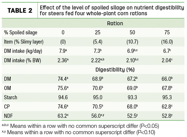 Effect of the level of spoiled silage on nutrient digestibility for steers fed 