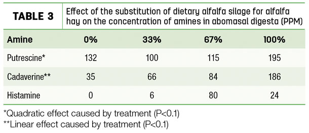 Effect of the substitution of dietary alfalfa a silage for alfalfa hay