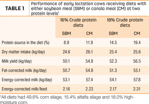 Performance of early lactation cows receiving diets with either boybean meal or canola meal