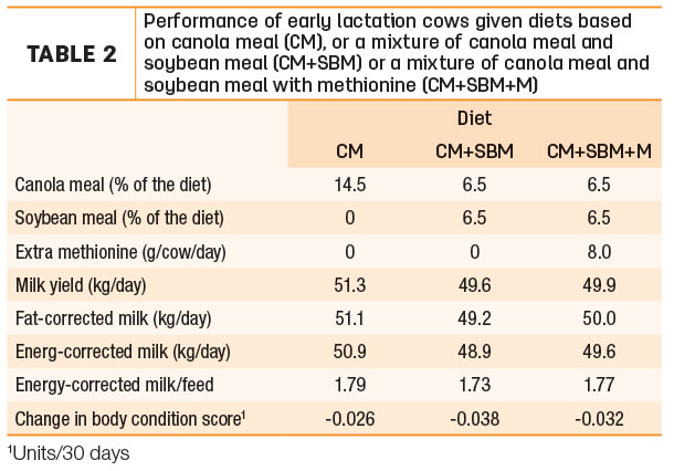 Performance of early lactation cows given diets based on canola meal or a mixture of canola meal and soybean meal