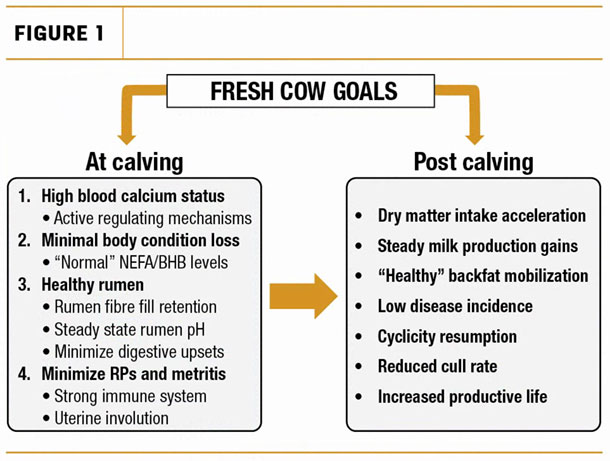 Fresh Cow Goals