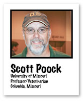 Scott Poock