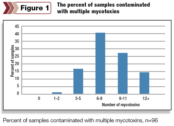 all corn silage samples contained mycotoxins