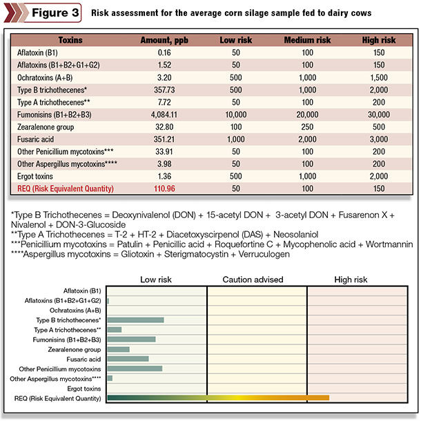 Risk assessment for the average corn silage sample fed to dairy cows