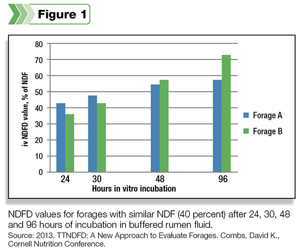 In vitro NDFD analysis of two forages, each containing 40 percent NDF, demonstrates the need for more than a digestion estimate at a single time point.