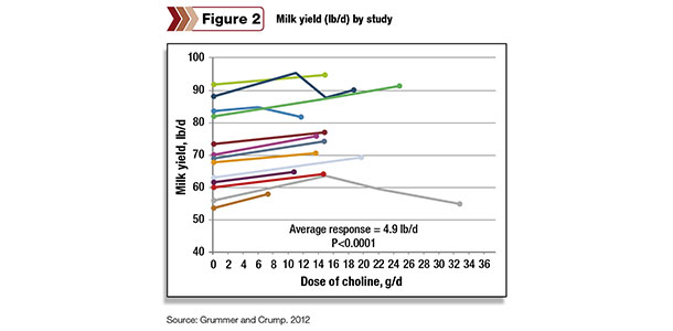 postpartum feed intake increased by 1.6 pounds per day and milk production by 4.9 pounds per day