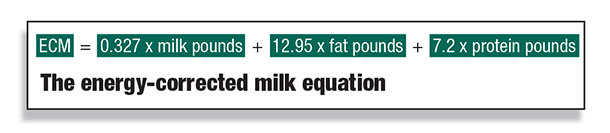 equation for energy correct milk