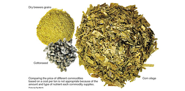 Photo of dry brewers grain, cottonseed and corn silage