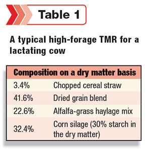 total mixed ration for lactating cow