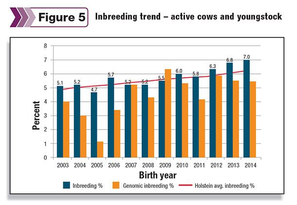active cows inbreeding trend