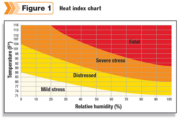 heat index chart