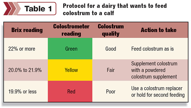Dairy colostrum protocols