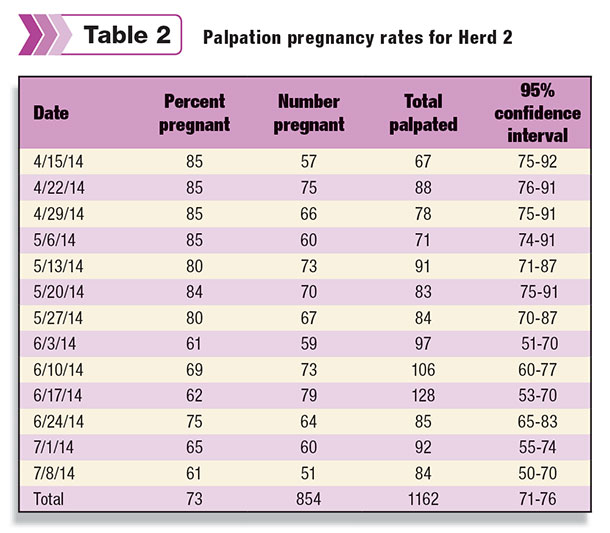 palpation pregnancy rates