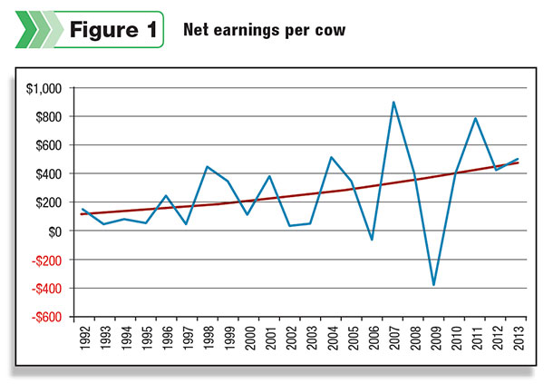 net earnings per cow
