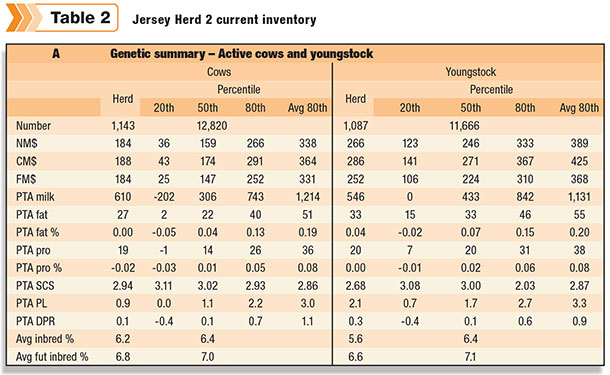 jersey herd current inventory
