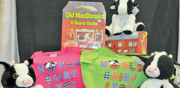 merchandise from purple cow gift shop