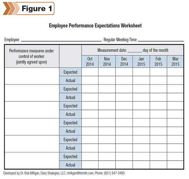 employee performance expectation worksheet