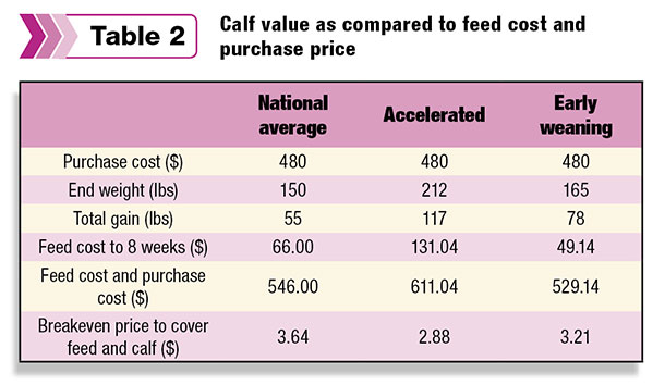 dairy steer calf value