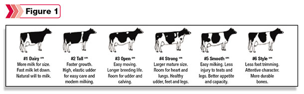 aAa analysis for cow structure