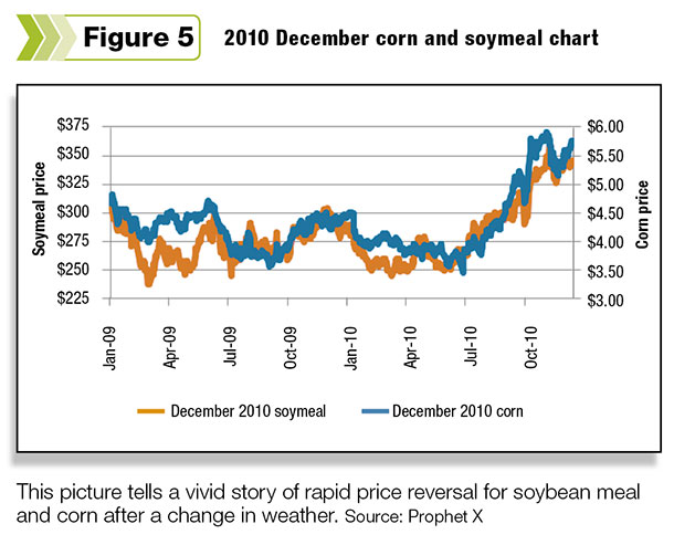 corn and soymeal chart