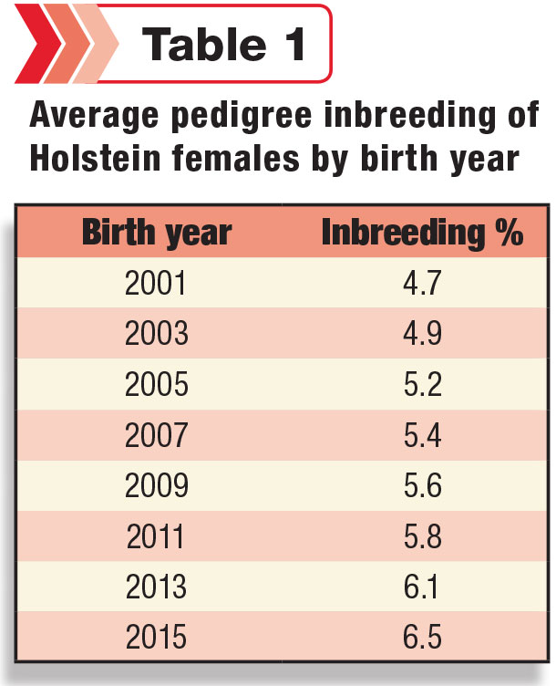Average pedigree inbreeding of Holstein females by birth year