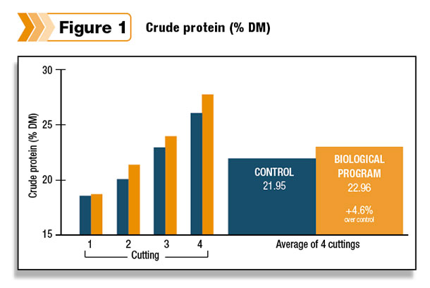 crude protein
