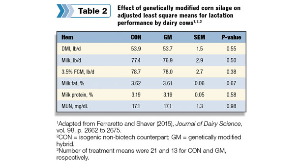 corn silage effects