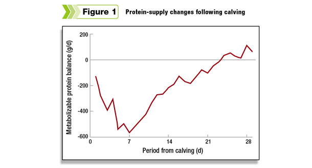protein supply changes