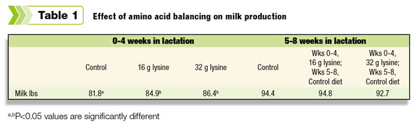 amino acid balancing effects