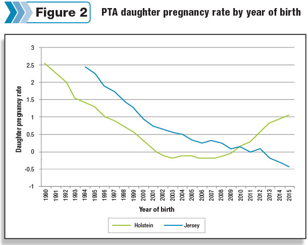 daughter pregnancy rate